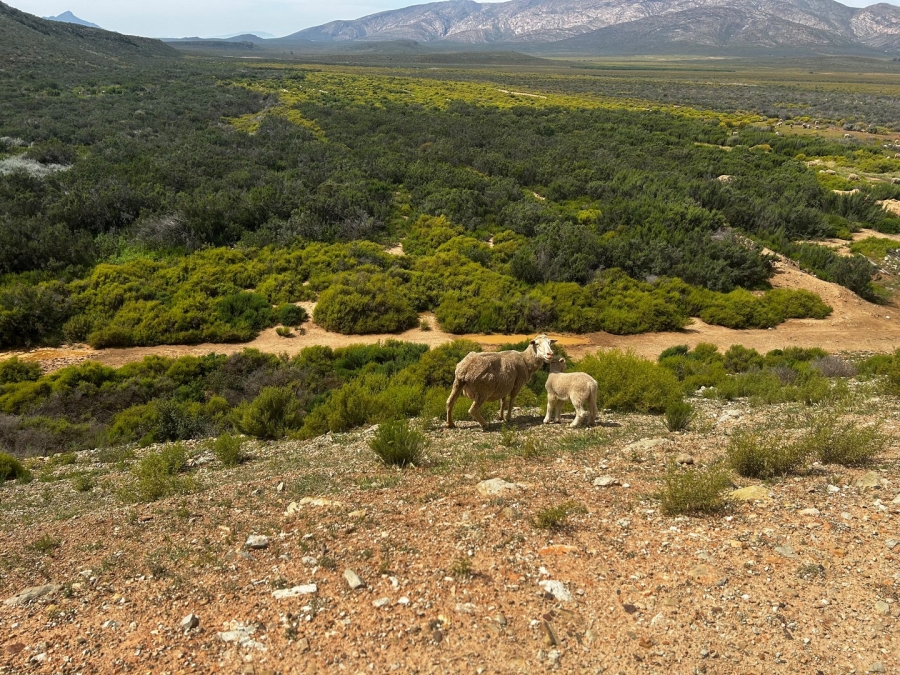 Commercial Property for Sale in Montagu Rural Western Cape